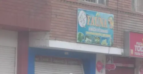 FAUNA CALLE 66 FAUNA CALLE 66